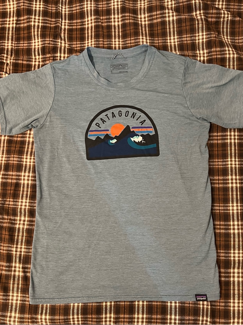 Patagonia Capilene Cool Daily Graphic T shirt Women’s S performance tee